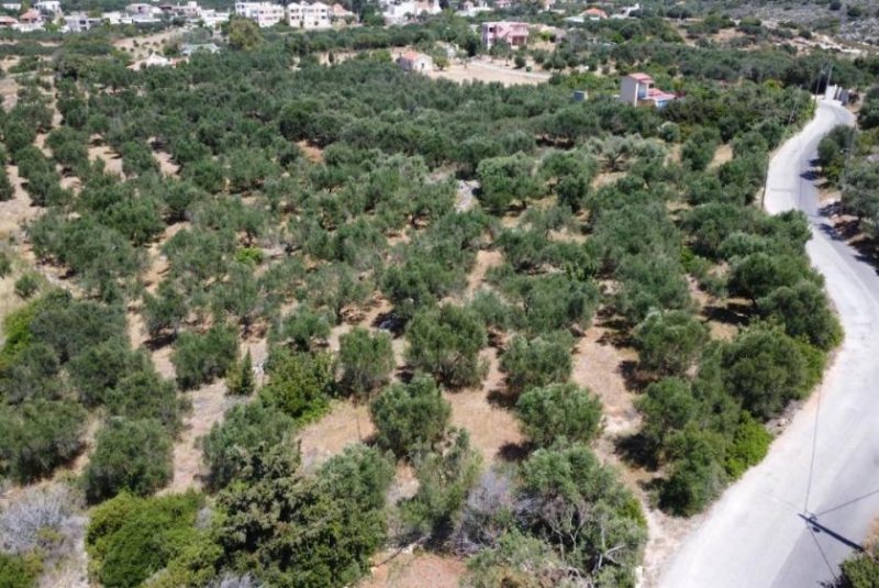Kalathas Kreta, Kalathas: Grundstück mit Meerblick in der Nähe des Strandes zu verkaufen Grundstück kaufen